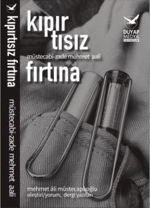 Book Cover of Kıpırtısız Fırtına